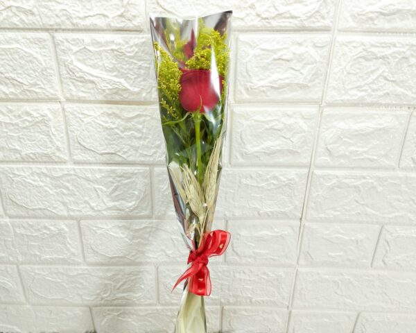 Rosas